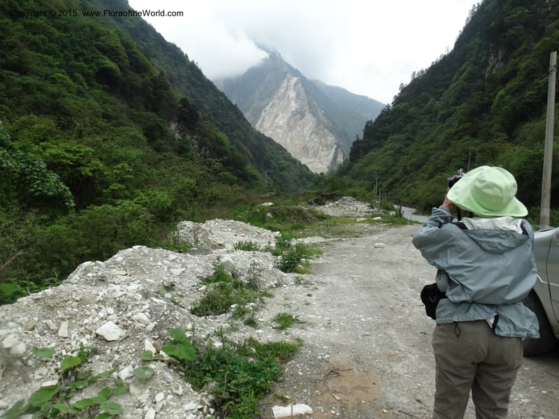 China. Sichuan. GuoBaiAn to YangLiuPing. 14 May 2014. DSC06781 (139).JPG