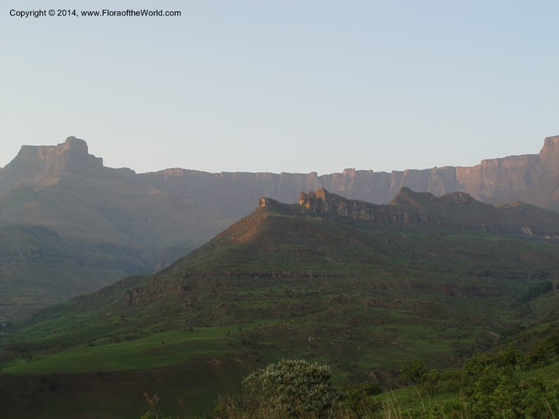 South Africa. Drakensberg Mts. Giants Castle. 4 Oct 2003. 001 (19).jpg