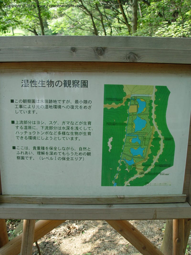 Japan. Toyota. Foresta Hills. CD16 Jul 03. 050.jpg