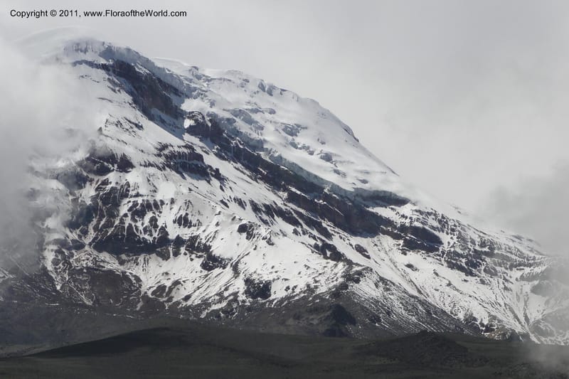 Ecuador. Chimborazo. El Primer Refugio. 5 Jun 2011. 005.jpg