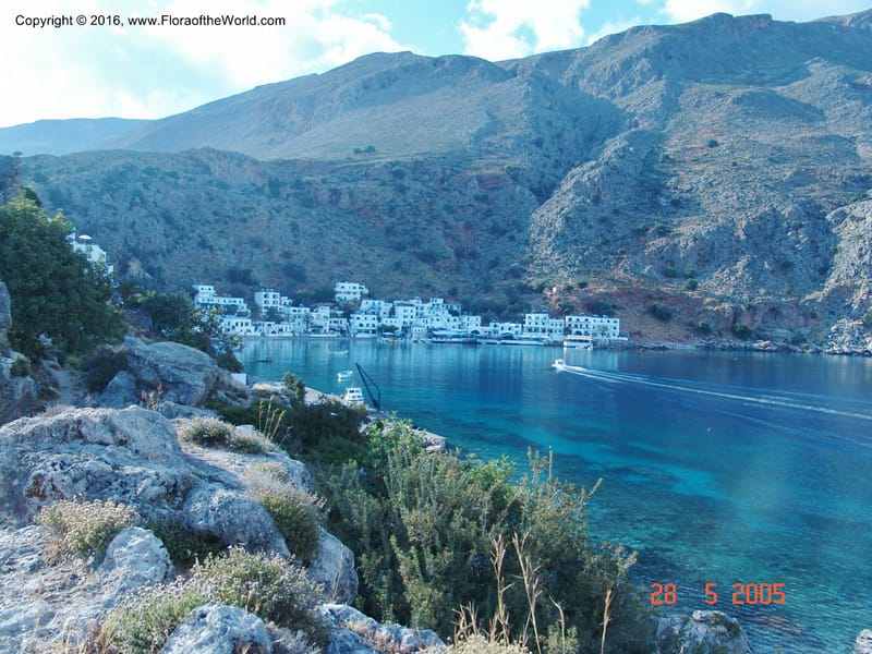 Crete.  Loutro. 28 May 05.   023.jpg