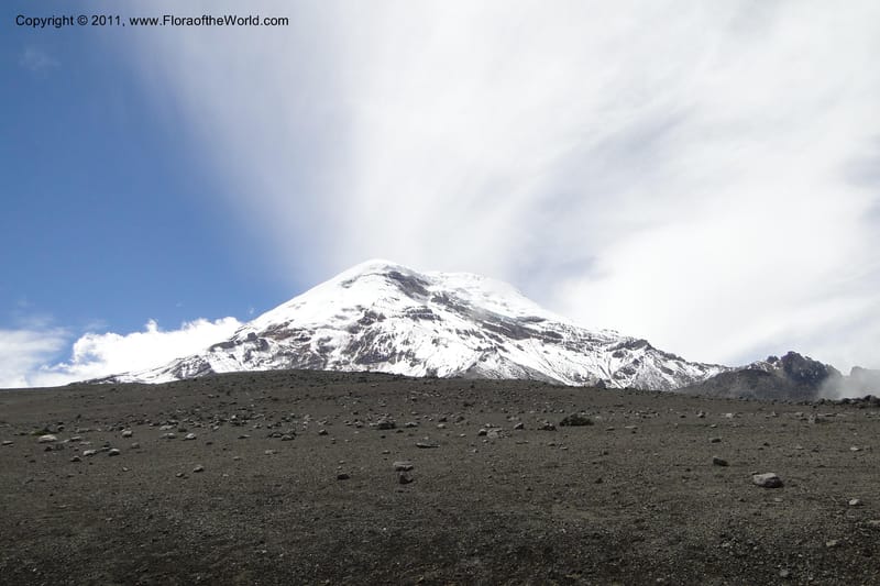 Ecuador. Chimborazo. El Primer Refugio. 5 Jun 2011. 015.jpg