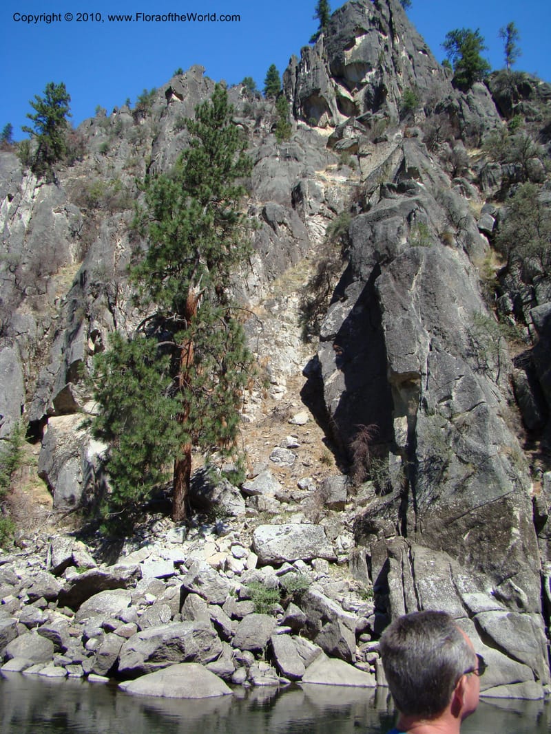 ID. Idaho Co. Main Salmon River. 26 Aug 08. 057.jpg