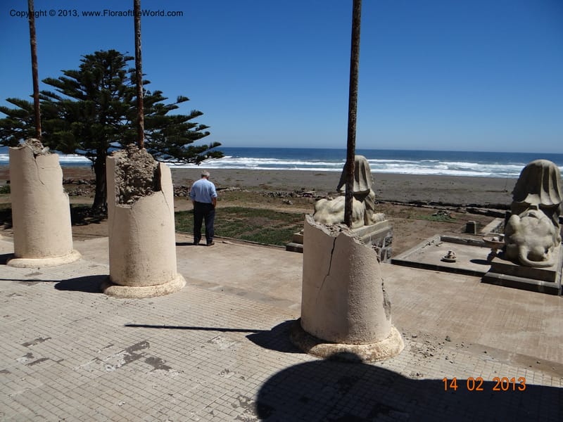 Habitat--Chile, Fundo Tanume, 14 Feb 2013  7870 (6).JPG