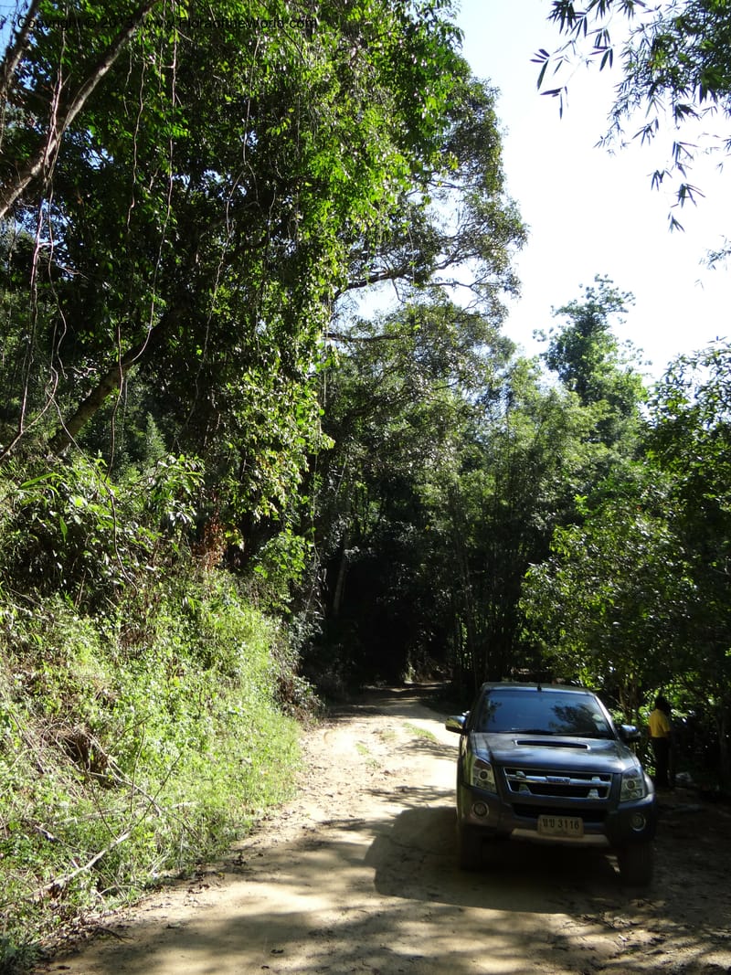 Thailand. Chiang Mai Prov. Doi Chiang Dao Wildl. Sanctuary. 11 Nov 2012. DSC08648 (30).JPG
