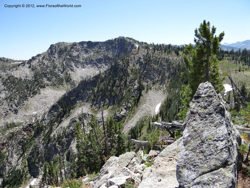 ID. Idaho Co. Josephine Lake. 1 Aug 2012. DSC03965 (83).JPG