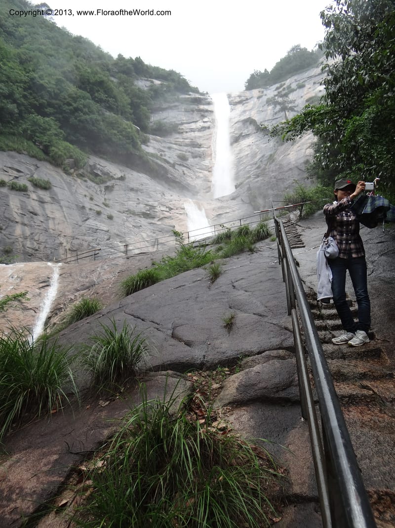 China. Anhui Prov. Huang Shan. 6 Jun 2012. DSC01929 (68).JPG
