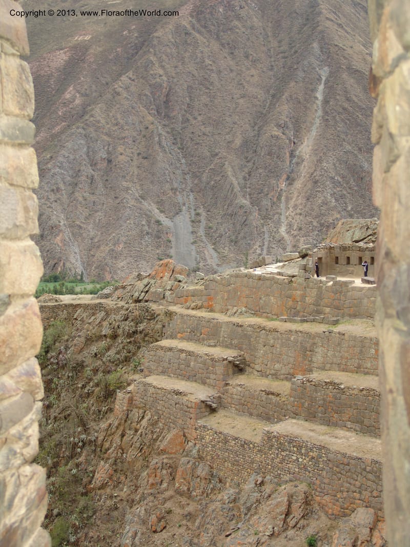 Peru. Ollantaytambo. 22 Oct 07. 013.jpg