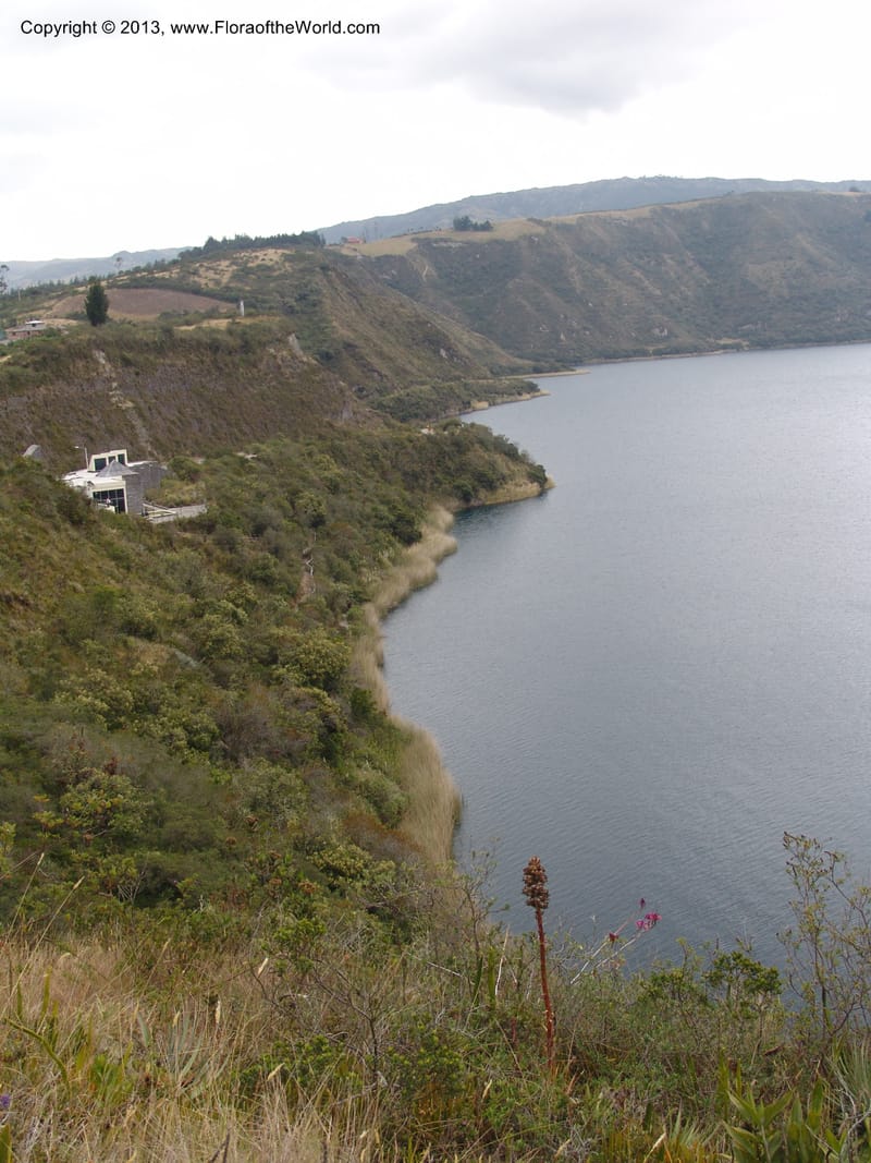 Ecuador. Prov. Imbabura.Laguna Cuicocha. 13 Sep 07. 106.jpg