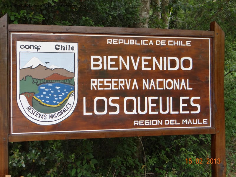 Chile, R N  Los Queules, 15 Feb 2013  8029.JPG