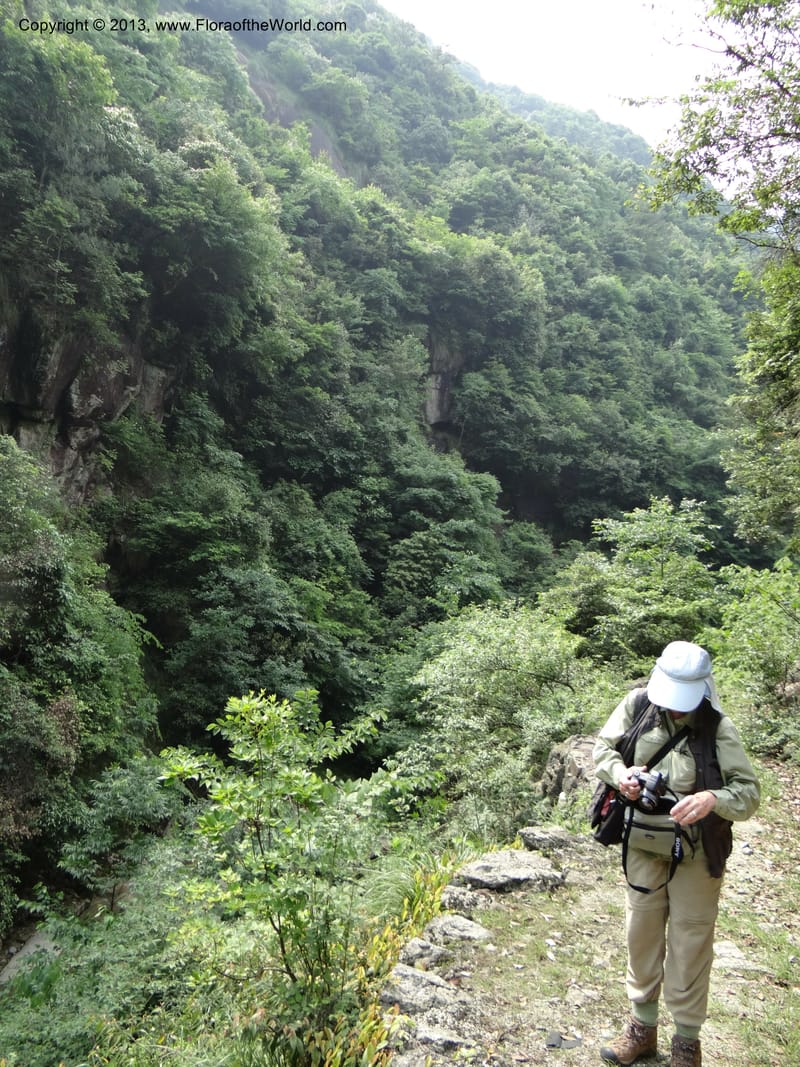 China. Zhejiang Prov. Shunxi Village. 28 May 2012. DSC00347 (310).JPG