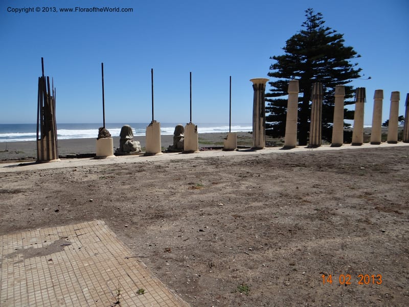 Habitat--Chile, Fundo Tanume, 14 Feb 2013  7870 (4).JPG