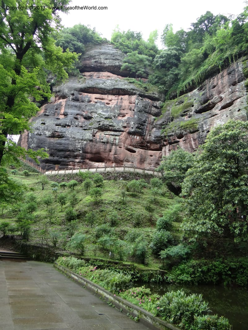 China. Anhui Prov. Qiyun Shan. 7 Jun 2012. DSC01929 (102).JPG