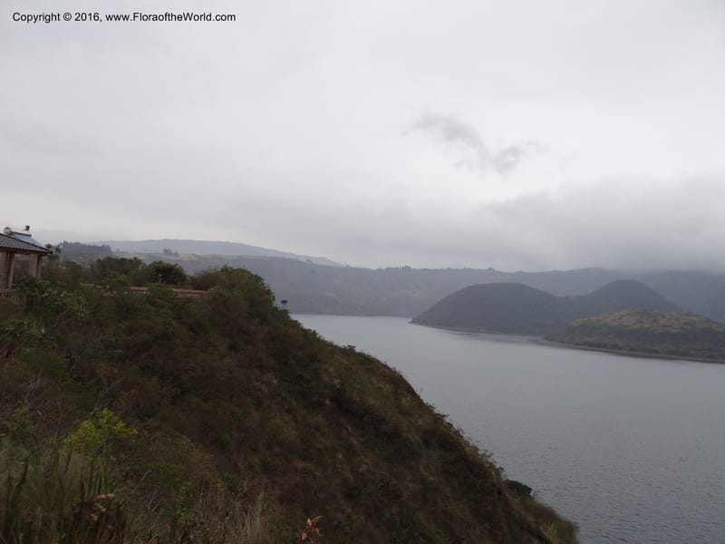Views of Cotacachi Cayapas and Laguna Cuicocha. 4 Oct 2012. DSC06697 (9).JPG