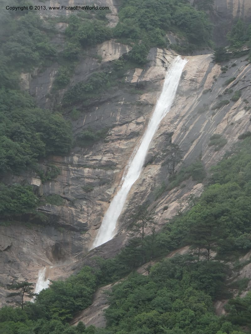 China. Anhui Prov. Huang Shan. 6 Jun 2012. DSC01928 (93).JPG