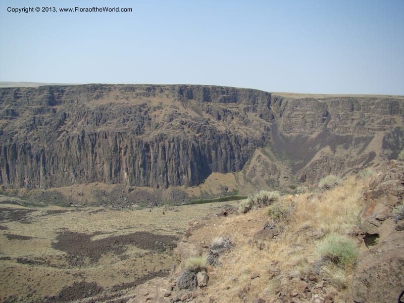 OR. Malheur Co. Rd to Three Forks. 16 Jul 08. 001.jpg