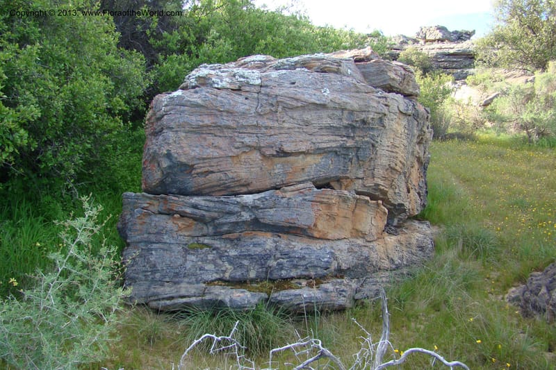South Africa. Northern Cape. Papkuilsfontein. 26 Aug 09. 304.jpg