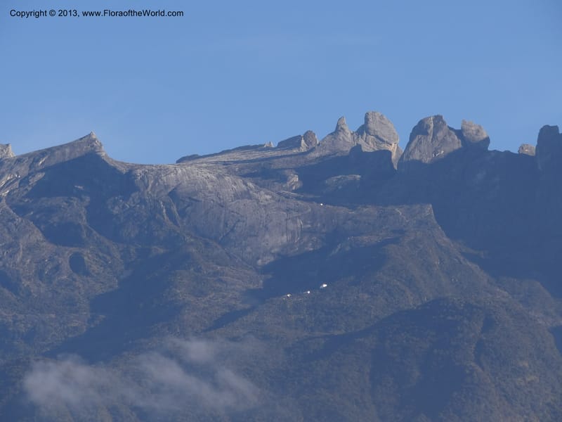 Mt. Kinabalu from Kg. Kundassong. 6 April 2012. DSC07181 (4).JPG