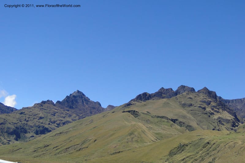 Ecuador. P. N. Sangay. 6 June 2011. 003.jpg