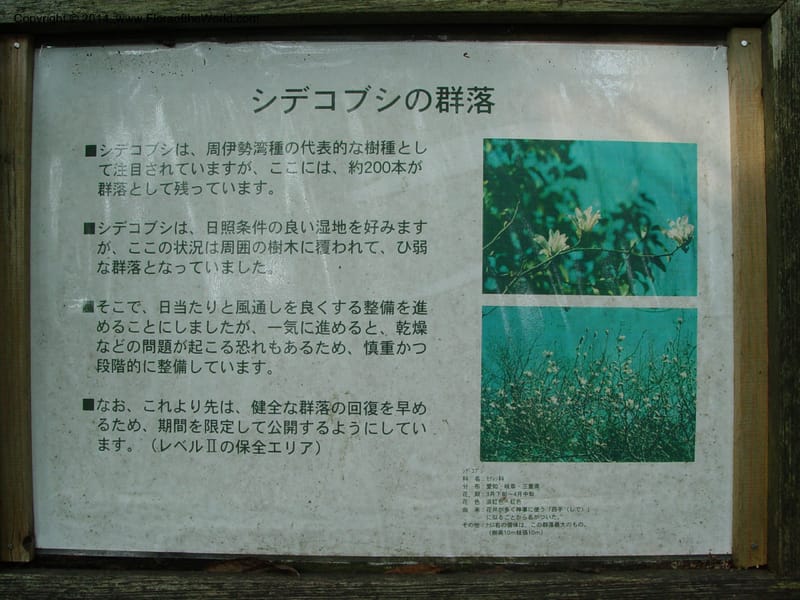 Japan. Toyota. Foresta Hills. CD16 Jul 03. 044.jpg