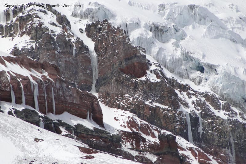 Ecuador. Chimborazo. El Primer Refugio. 5 Jun 2011. 162.jpg