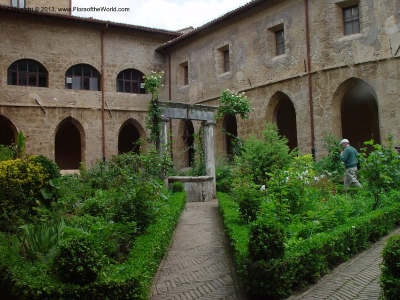 Courtyard garden, the lower monastery at Subiaco--Italy. (1).jpg