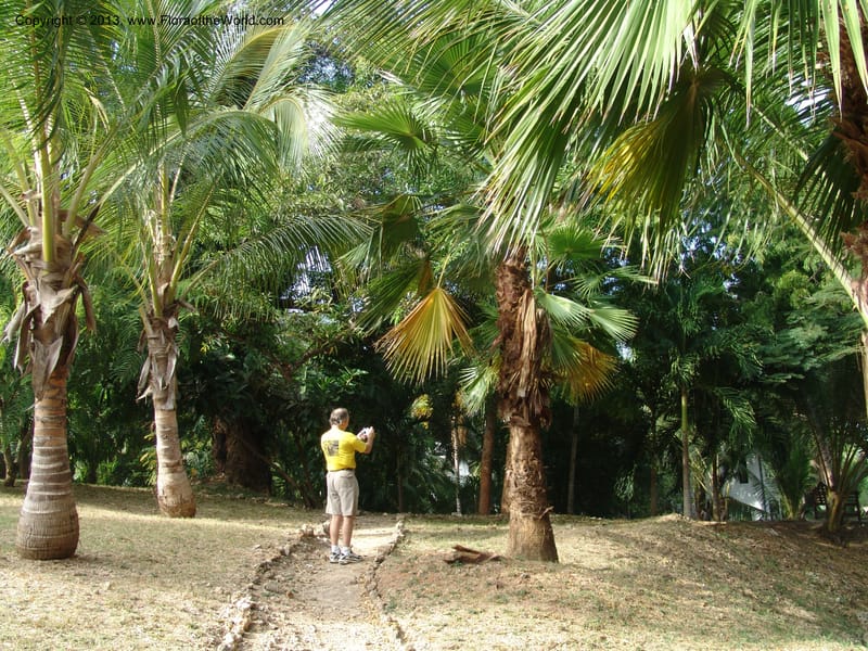 Tanzania. Zanzibar. Protea Hotel+Mbweni Ruins. 17 Jul 04. 037.jpg