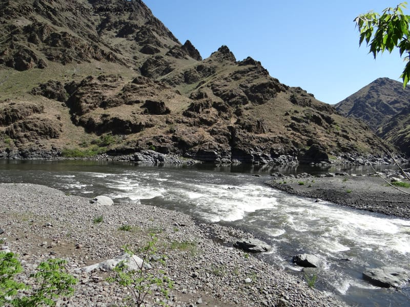 Oregon. Wallowa Co. Imnaha River. 7 May 2013. DSC03887 (143).JPG