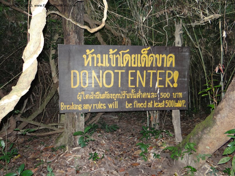 Thailand. Chiang Mai Prov. Doi Suthep Pui Nat. Park. 7 Nov 2012. DSC07362 (371).JPG