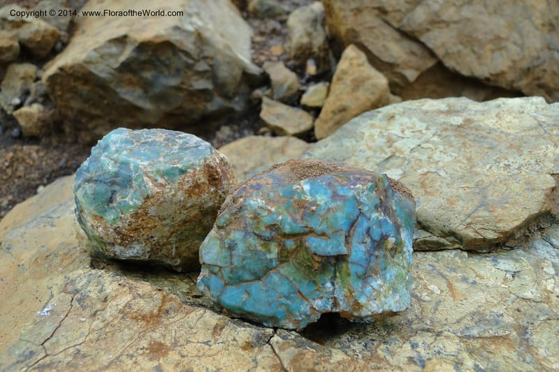 New Caledonia. Mine St. Louis Boulinda. 18 Feb 2011. 173.jpg