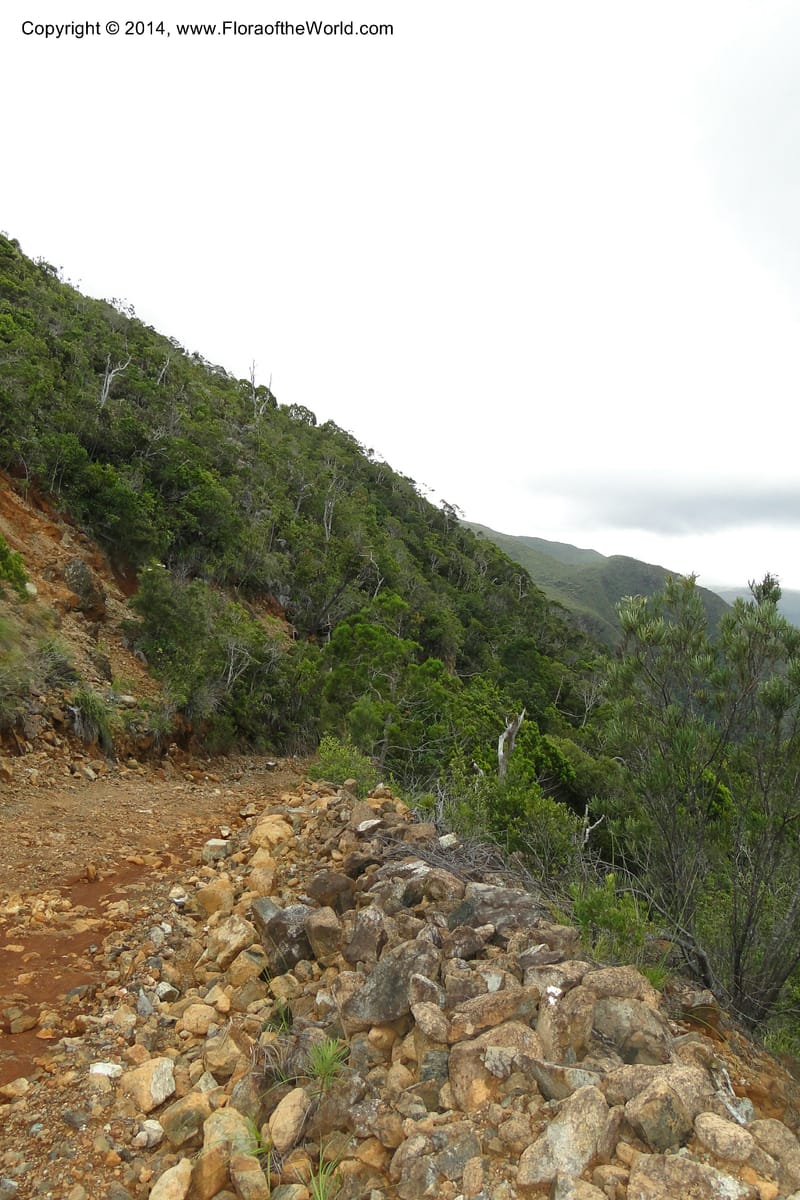 New Caledonia. Mine St. Louis Boulinda. 18 Feb 2011. 192.jpg