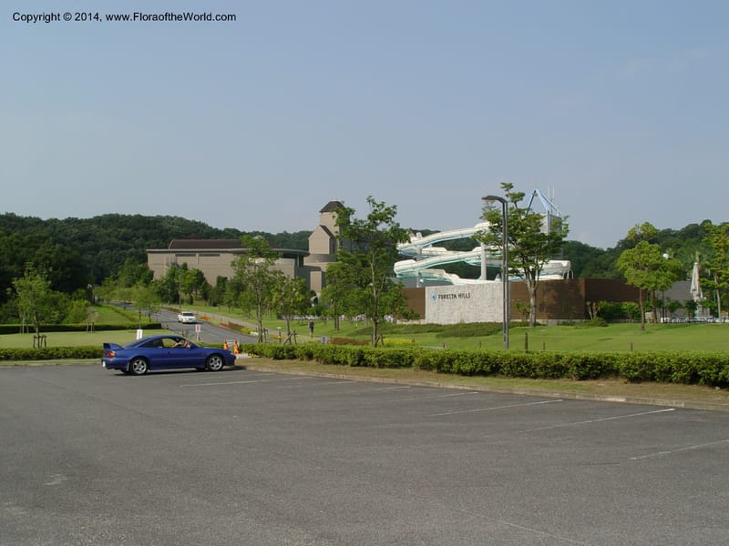 Japan. Toyota. Foresta Hills. CD16 Jul 03. 051.jpg