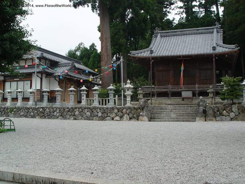 Japan. Temple in Ibuki-cho.  CD18 Jul 03. 002.jpg