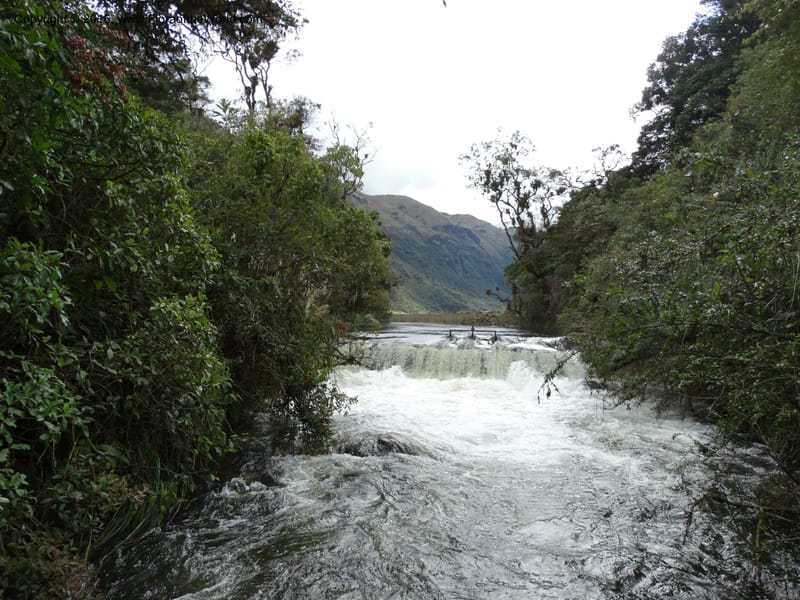 Ecuador. P. N. Cajas. 27 Apr 2015. DSC03385 (56).JPG