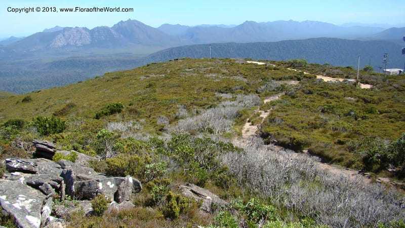 Tasmania. Tim Shea. 30 Jan 2010. 118.jpg