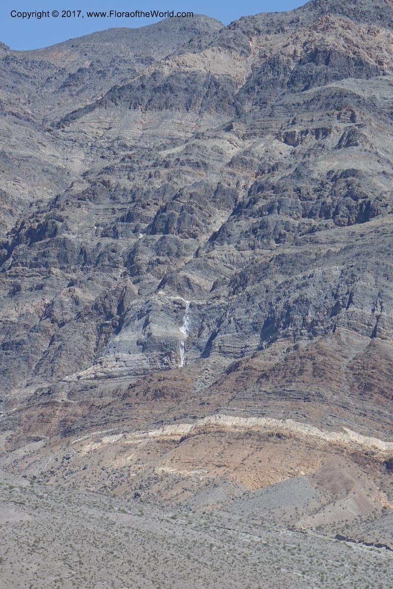 California. Inyo Co. Last Chance Mts. 16 Apr 2016.  (3).JPG