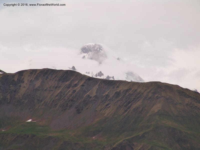 Georgia. Kazbegi Peak. Garbani. Georgia Milt. Hwy. 1 Jun 2005. 002 (1).jpg