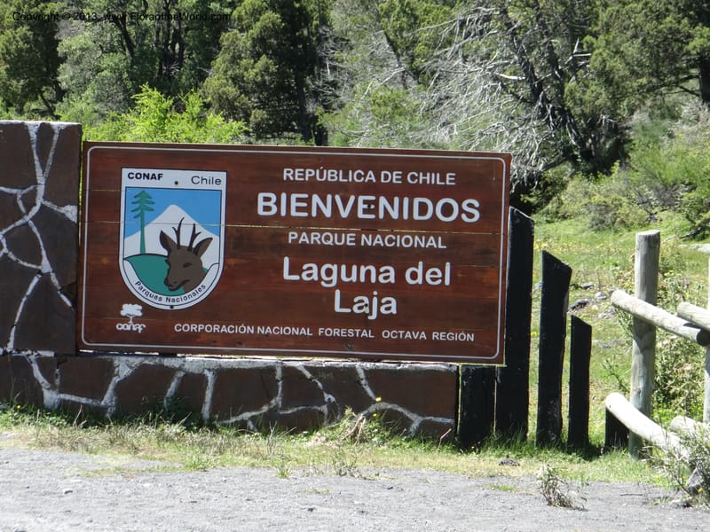 Chile. P.N. Laguna del Laja. 18 Feb 2013. DSC01762 (2).JPG