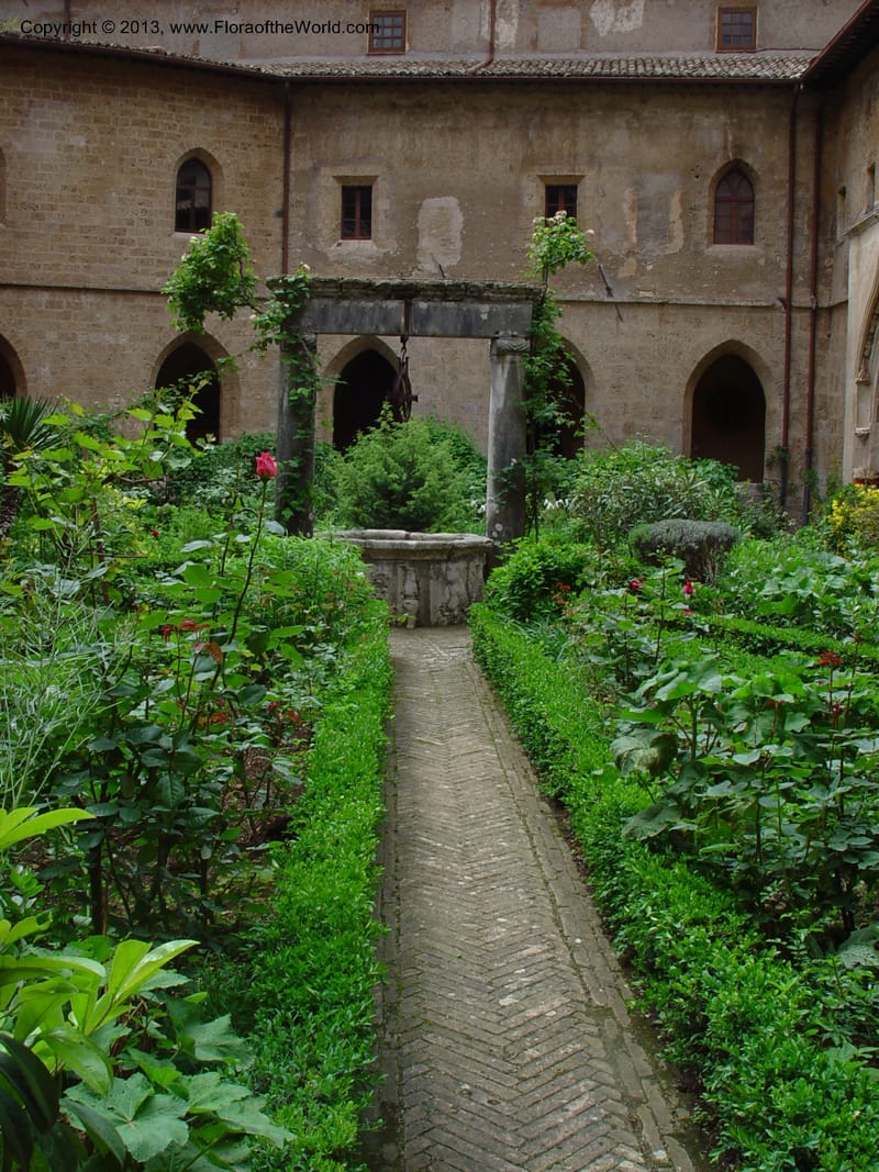 Courtyard Garden,the lower monastery at Subiaco--Italy. Abru.jpg