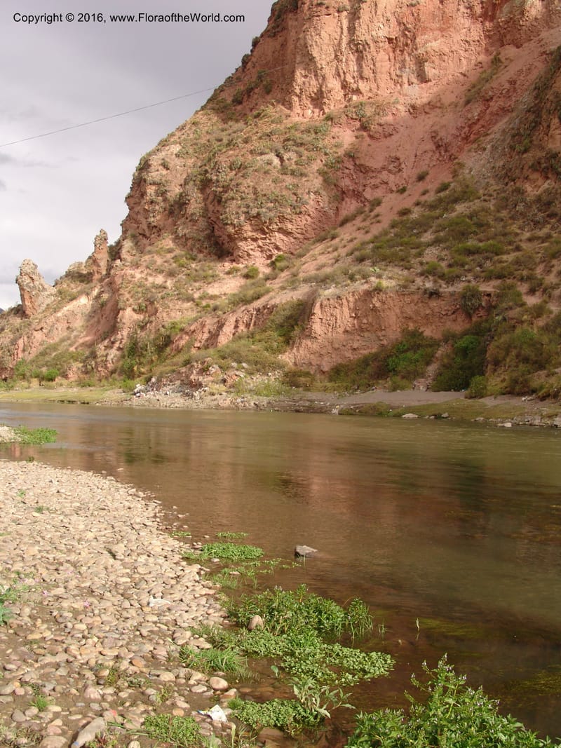 Peru. Rio Urubamba, Restr. Tunupa. 22 Oct 07. 016.jpg