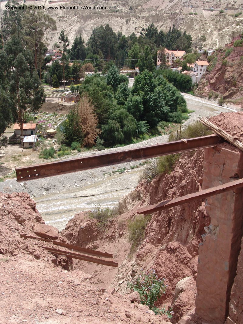 Bolivia. La Paz. Send. Aguila. 4 Dec 04. 085.jpg