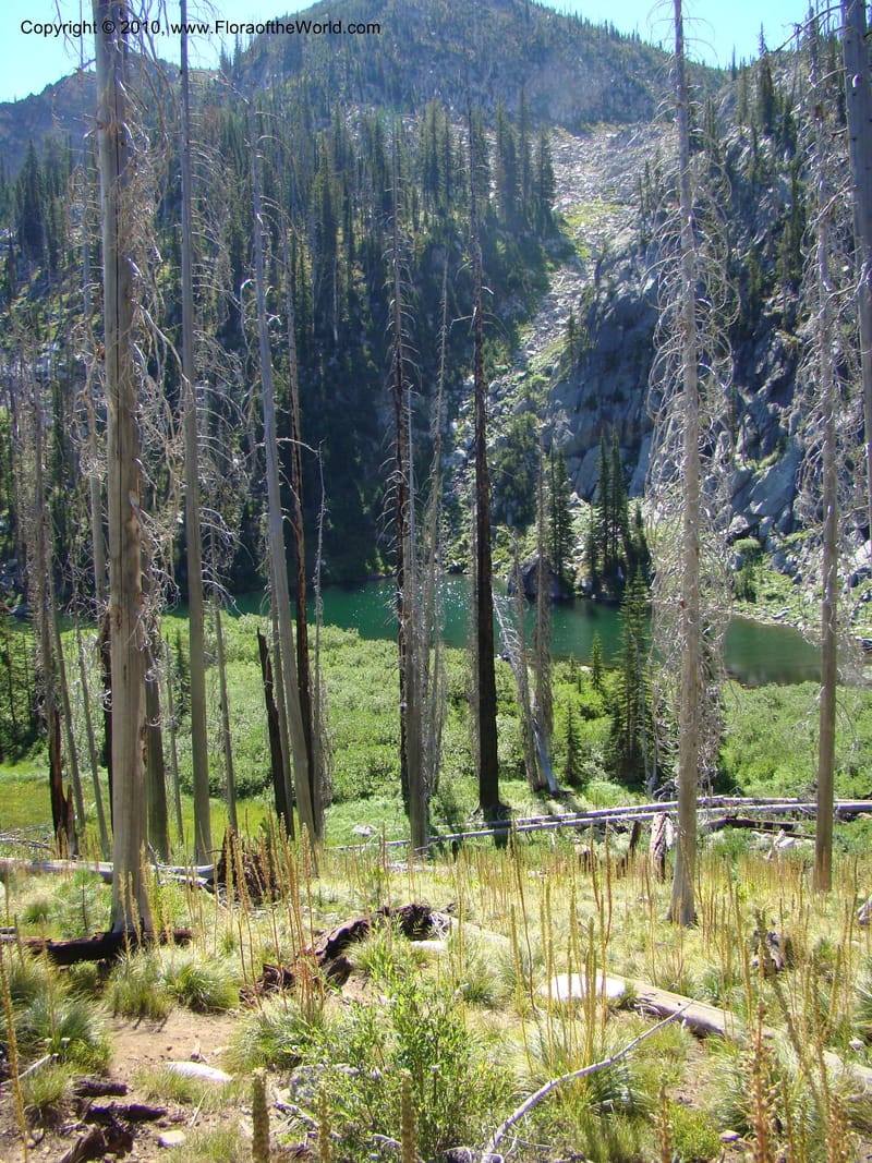 ID. Idaho Co. Josephine Lake. 25 Aug 08. 065.jpg