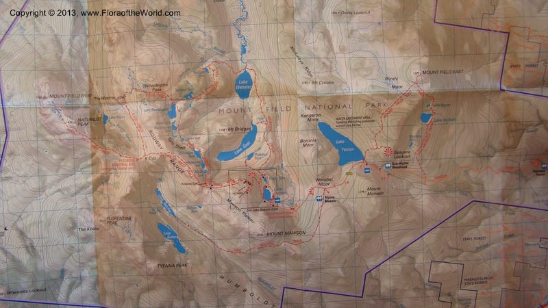 Tasmania. Maps of Mt. Field Nat. Park. Jan 2010. 002.jpg