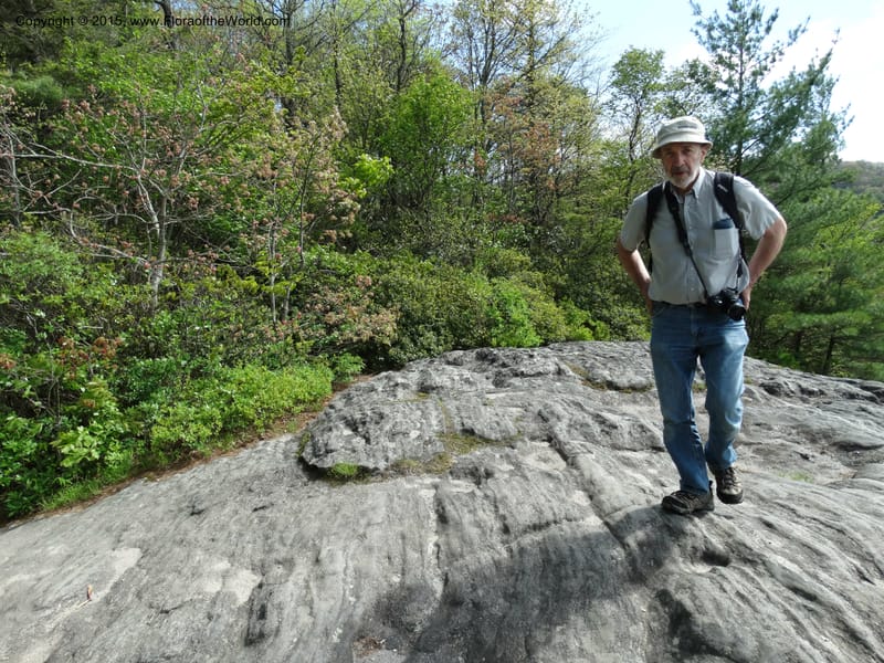 North Carolina. Macon Co. Sunset Rock. 12 May 2015. DSC04371 (144).JPG