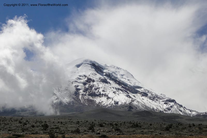Ecuador. Chimborazo. El Primer Refugio. 5 Jun 2011. 002.jpg