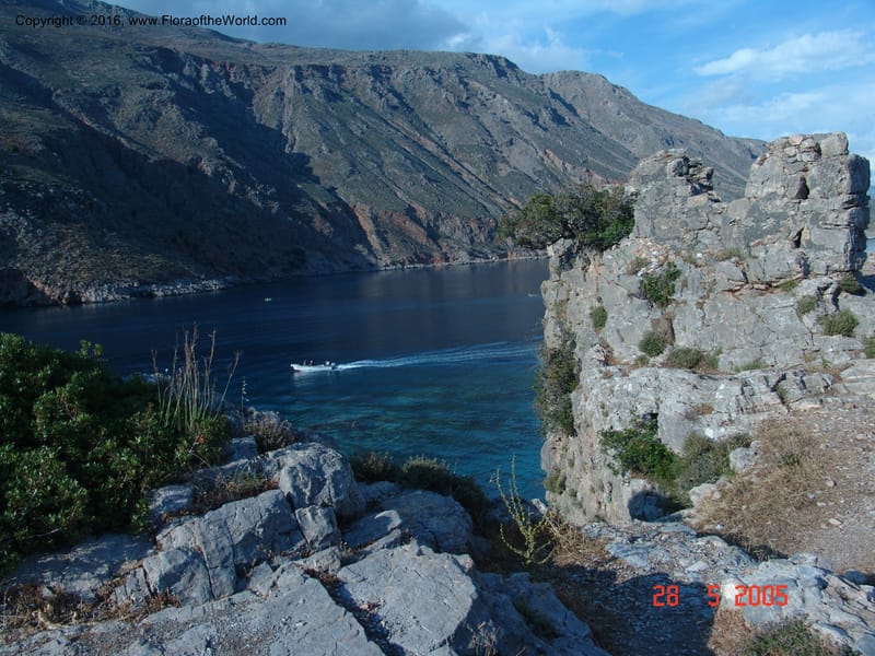 Crete.  Loutro. 28 May 05.   025.jpg