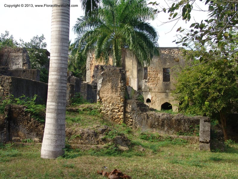 Tanzania. Zanzibar. Protea Hotel+Mbweni Ruins. 17 Jul 04. 021.jpg