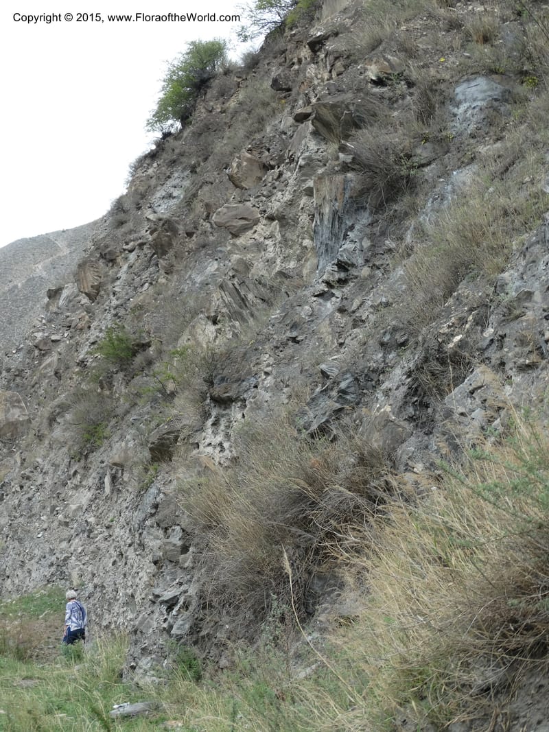 China. Sichuan. Yonghe Village. 6 May 2014. DSC04110 (41).JPG