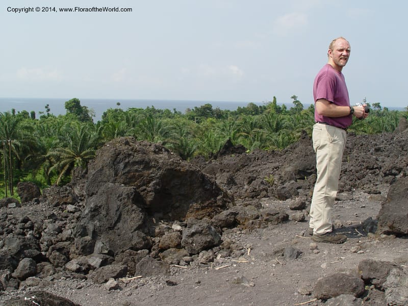 Cameroon. Mt. Cameroon. Recent lava flow. 6 Dec 03. 013.jpg