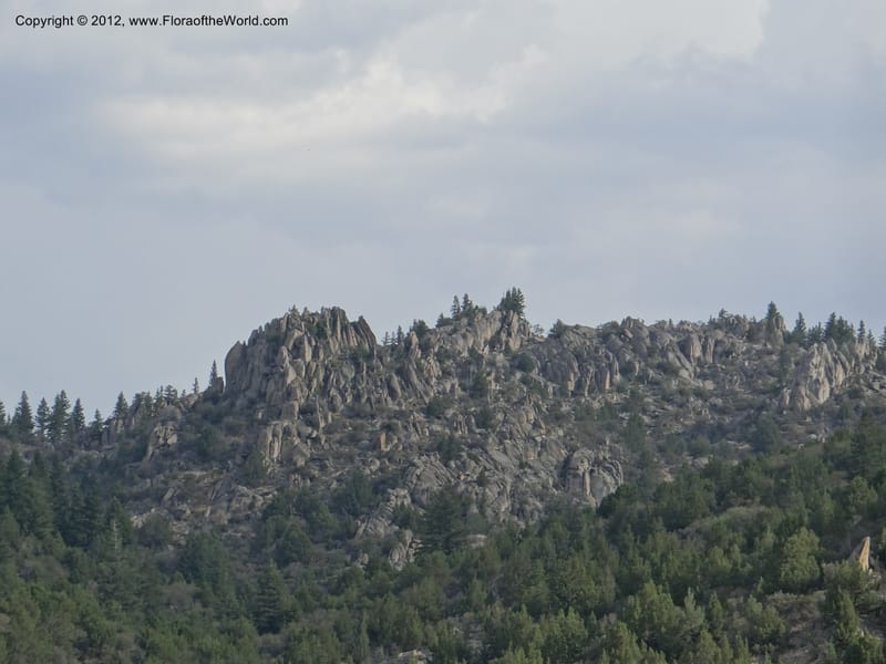 ID. Owyhee Co. Silver City. Aug 2012. DSC04305 (101).JPG